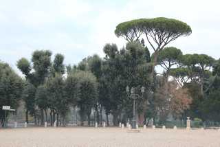Italy (Jan 2012) 056.jpg